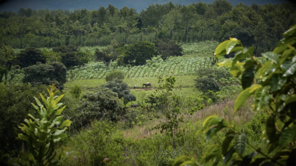 As Good As It Gets - Coffee Farmers Video